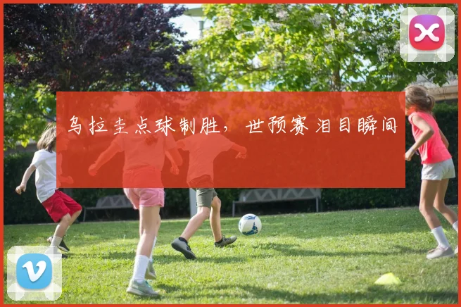 乌拉圭点球制胜，世预赛泪目瞬间