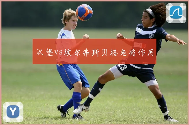 汉堡vs埃尔弗斯贝格老将作用